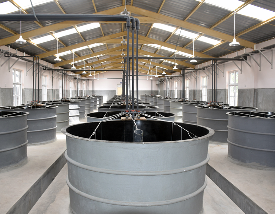 Construction of Fresh water Prawn Hatchery at Kallarawa (Thiriyai) in Trincomalee District (Phase I,II)